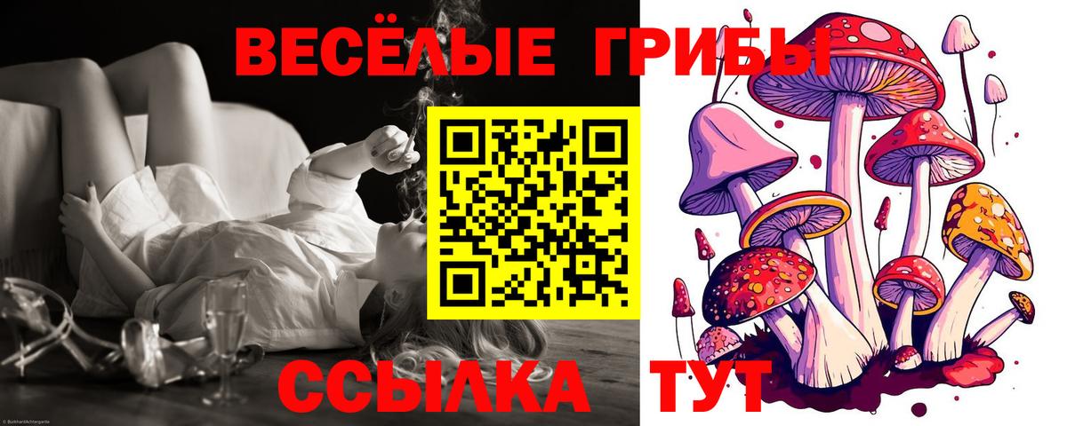 Псилоцибиновые грибы MAGIC MUSHROOMS Курганинск