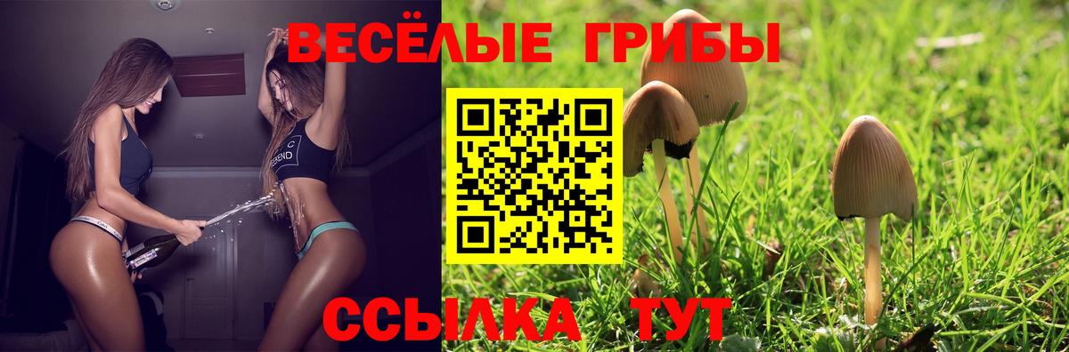 Курганинск  Псилоцибиновые грибы мухоморы  Вход с VPN  Псилоцибиновые грибы Magic Shrooms 